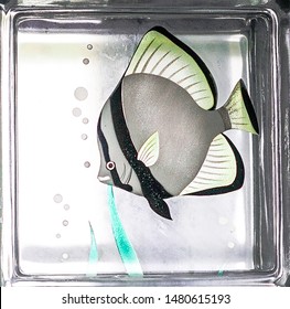 Reveal Transparent One Square Bathroom Glass Block Cube And Have Moorish Idol , A Black And White Marine Fish Illustration See Through Texture .Use For Object And Materials.