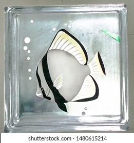 Reveal Transparent One Square Bathroom Glass Block Cube And Have Moorish Idol , A Black And White Marine Fish Illustration See Through Texture .Use For Object And Materials.