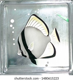 Reveal Transparent One Square Bathroom Glass Block Cube And Have Moorish Idol , A Black And White Marine Fish Illustration See Through Texture .Use For Object And Materials.