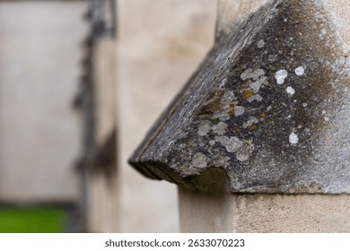 Revealing intricate textures and details, a close-up of a weathered stone architectural element highlights the beauty of decay and the passage of time