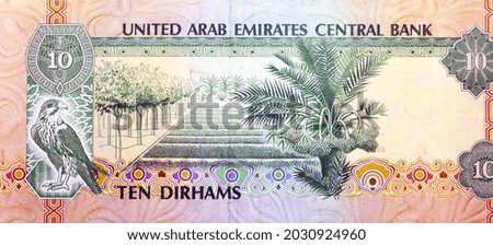 Reverse side of 10 ten Dirhams banknote of the United Arab Emirates, currency of the UAE issued 1982 with Pictures of a sparrowhawk and a Pilot Farm, old Emirates money, vintage retro
