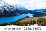 The rewarding view of Peyto Lake with beautiful snow capped mountains and lush green pine forests from the Peyto Lake lookout trail.