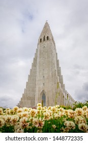 Reykjavik, Iceland, July 2019: Hallgrimskirkja Or Church Of Hallgrimur, Lutheran Parish Church, By State Architect Guðjón Samúelsson. Tallest Building In Iceland. Flowers In Foreground. 