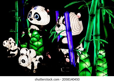 Rhenen, The Netherlands - December 2018 : China Light Festival In Ouwehands Dierenpark Shows China Frog Creatures In The Dark Created With Led Lights 