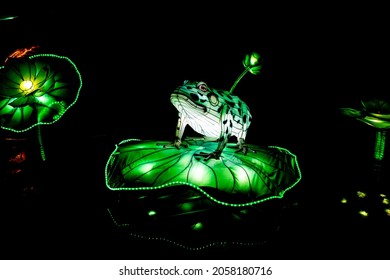 Rhenen, The Netherlands - December 2018 : China Light Festival In Ouwehands Dierenpark Shows China Frog Creatures In The Dark Created With Led Lights 