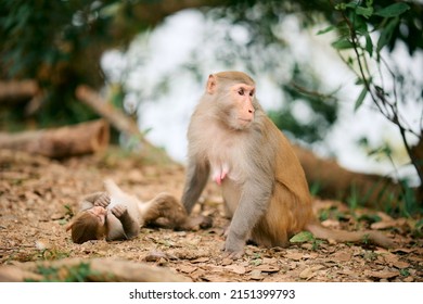 Shing mun reservoir Images, Stock Photos & Vectors | Shutterstock