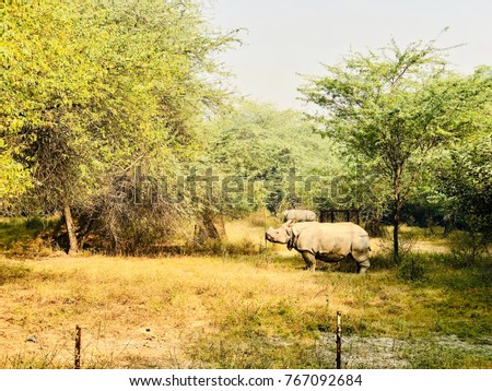 Similar – tomb old trees cows