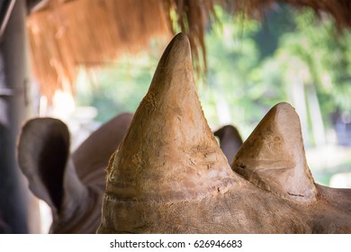 Rhino Horn