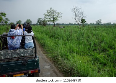 Rhino Safari At Kaziranga 