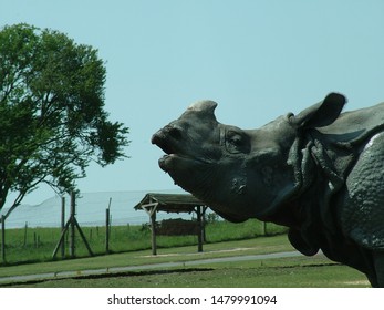 Rhino Sight At West Midland Safari Park, United Kingdom