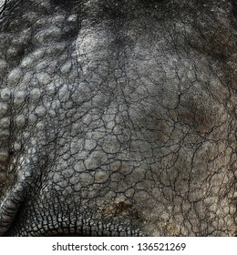 Rhino Skin Texture