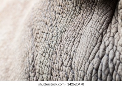 Rhino Skin Texture