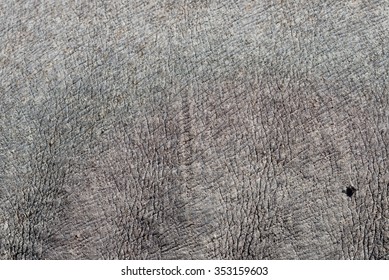 Rhino Skin Texture