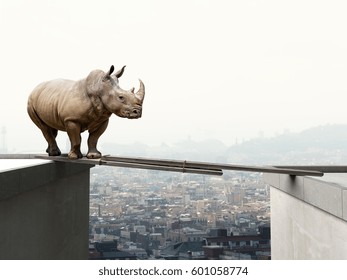 Rhino Want To Walk On Wood Beam Danger Concept