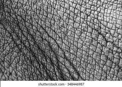 Rhino Skin Texture」の画像、写真素材、ベクター画像  Shutterstock