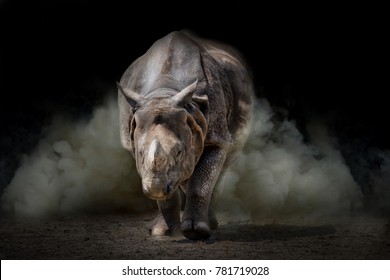 Rhinoceros Animal Black Background