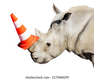 Rhinoceros Head Portrait Wear Road Cap On The Horn - Heavy Construction Worker Mixed Media Composition Concept