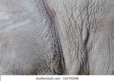 Rhinoceros Skin