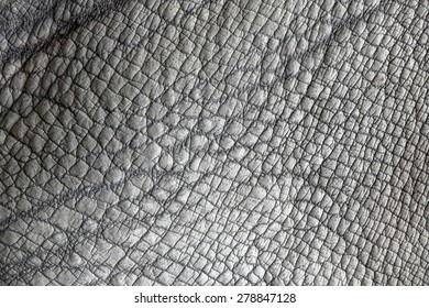 Rhinoceros Skin Texture