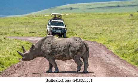 Rhinos in Ngorongoro crater Tanzania - Powered by Shutterstock