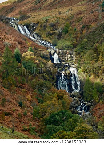 Rhiwargor Falls (Pistyll Rhyd-y-meinciau). Situated in a nature reserve the waterfalls are a series of cascades on the river Eiddew which runs into the north western end of Lake Vynwy mid Wales.