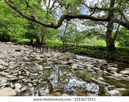 Rhiwargor waterfall Powys Mid wales UK