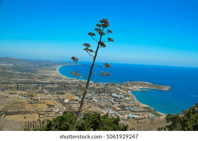 Rhodes Island Summer Holidays Afantou And Faliraki Beach Greece