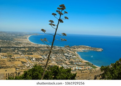 Rhodes Island Summer Holidays Afantou And Faliraki Beach Greece