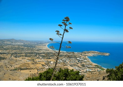 Rhodes Island Summer Holidays Afantou And Faliraki Beach Greece