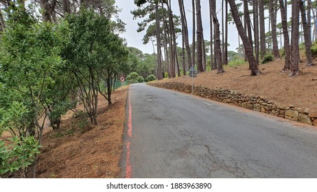 Rhodes Memorial Entrance Road Via UCT Side