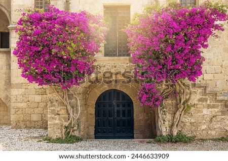 Similar – Image, Stock Photo Lush blooming oleander bush and a small dog nearby. Happy dog sits in front of vibrant pink flowering bush.