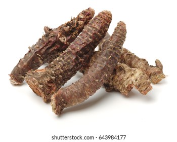 Rhodiola Rosea On White Background