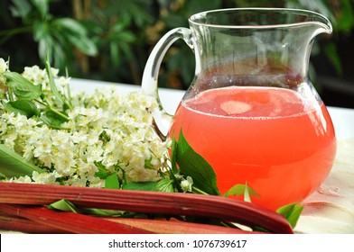 Rhubarb Compote In Glass Jug