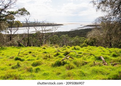 Rhyll Inlet State Wildlife Reserve is a wetland reserve with walking paths, a boardwalk, mangroves, birds and ocean views - Phillip Island, Victoria, Australia