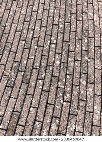 A rhythmic, repeating pattern of interlocking paving bricks or setts laid out in a herringbone design, showcasing varied earth tones and a structured surface texture.