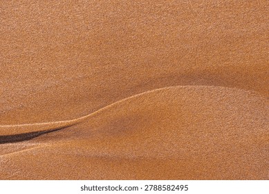 Rhythmic sand ripples create a hypnotic geometric pattern. Parallel lines and soft shadows enhance the tactile organic texture of this minimalist desert landscape view.