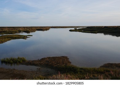 Ria Formosa Natural Park. Faro, Algarve, Portugal.