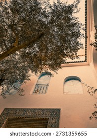 A Riad in Marrakech looking up at a tree 