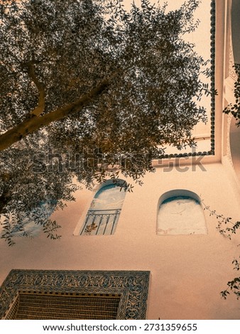 A Riad in Marrakech looking up at a tree 