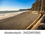 Rialto Beach with driftwood and sea stacks in Washington State. Rialto Beach, situated within Olympic National Park, is positioned to the north of La Push, the Quileute Tribe