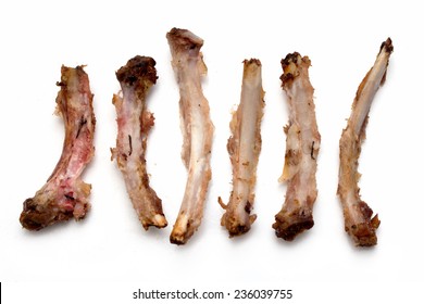 Rib Bones Picked Clean Of Meat On A White Background