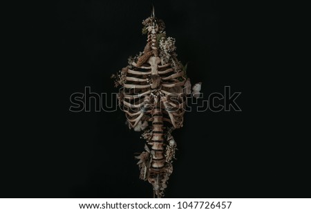 Rib Cage with Dried Flowers