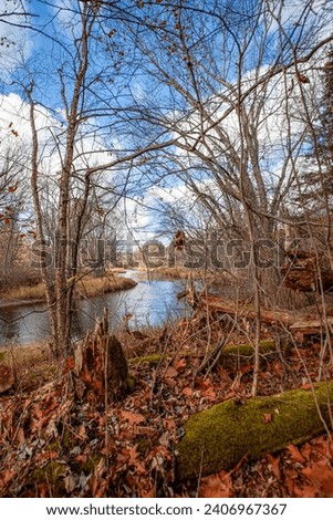 Rib River flowing through a Wisconsin forrest, vertical