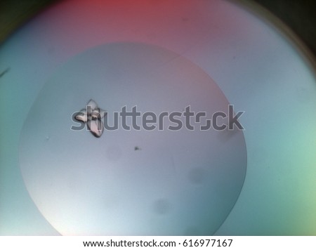 Ribosomes crystals