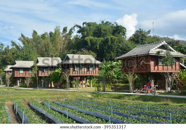 Rice Barn Villa Vintage Stock Photo Edit Now 395351317