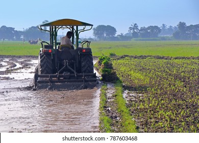 1,098 Wetland rice cultivation Images, Stock Photos & Vectors ...