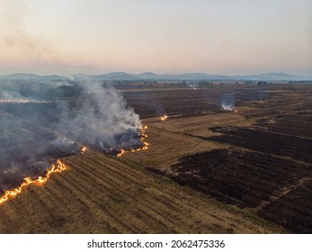 Rice Farm Burn Fire After Harvest Cause Of Air Pollution Agricultural Industry Aerial View