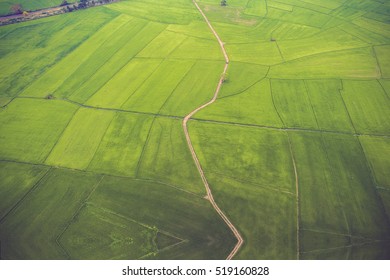 Rice Farm Map, Bird Eye View.soft Focus.Vintage Color