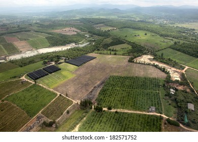 Rice Field And Agriculture Farm,bird Eye View