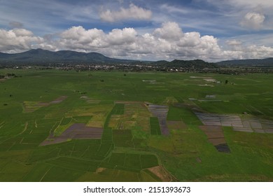 Rice Field with beautiful sky at Kakas Village Minahasa north Sulawesi indonesia, 1 may 2022 taken by mavic 2s with HLG profile